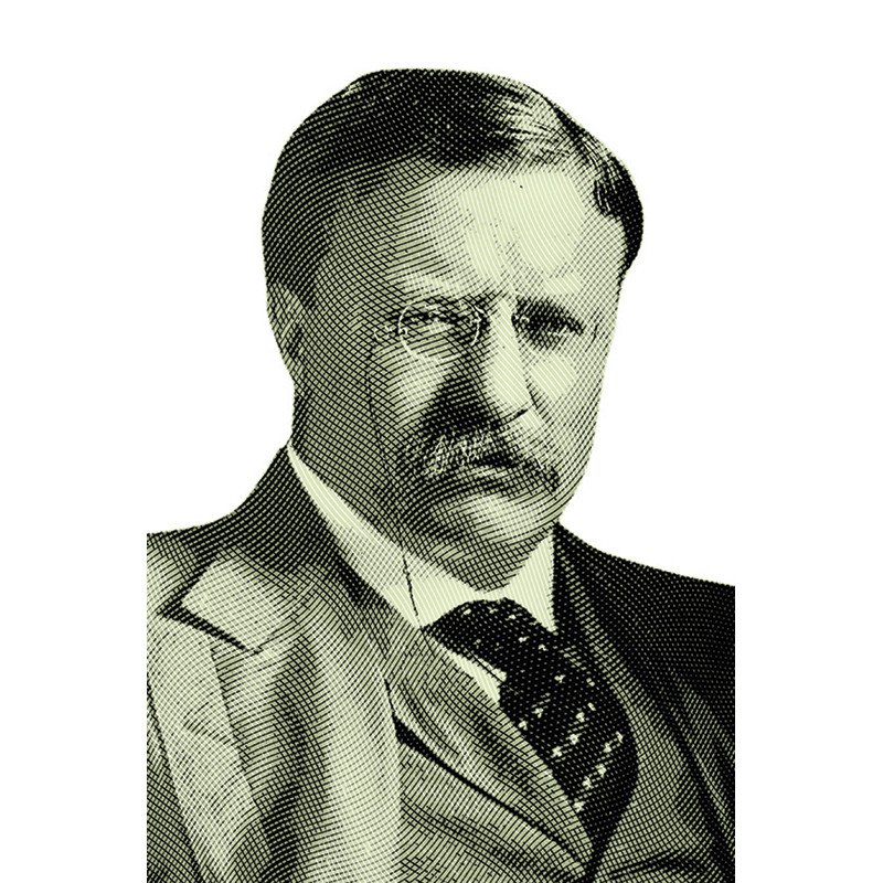 Баннер, плакат «Теодор Рузвельт» Баннер, плакат «Теодор Рузвельт»
