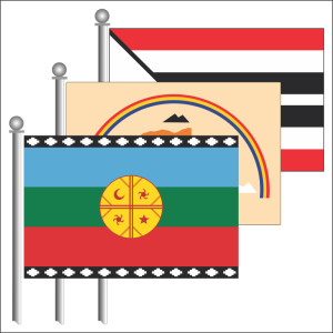 Этнические флаги Америки