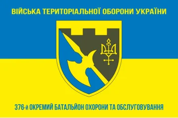 Флаг 376 ОБОО (отдельный батальон охраны и обслуживания) ВСУ. Вариант-06