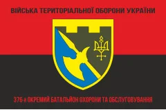 Флаг 376 ОБОО (отдельный батальон охраны и обслуживания) ВСУ. Вариант-08