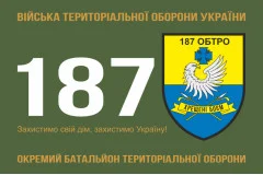 Флаг 187 ОБТрО (отдельный батальон Территориальной обороны) ВСУ. Вариант-01