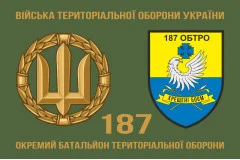 Флаг 187 ОБТрО (отдельный батальон Территориальной обороны) ВСУ. Вариант-02