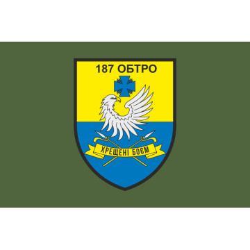 Флаг 187 ОБТрО (отдельный батальон Территориальной обороны) ВСУ. Вариант-03