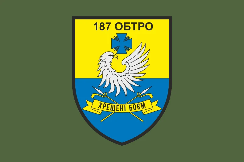 Флаг 187 ОБТрО (отдельный батальон Территориальной обороны) ВСУ. Вариант-03 Флаг 187 ОБТрО (отдельный батальон Территориальной обороны) ВСУ. Вариант-03