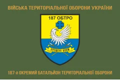 Флаг 187 ОБТрО (отдельный батальон Территориальной обороны) ВСУ. Вариант-04