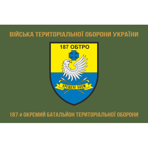 Прапор 187 ОБТрО (окремий батальйон Територіальної оборони) ЗСУ. Варіант-04