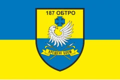 Флаг 187 ОБТрО (отдельный батальон Территориальной обороны) ВСУ. Вариант-05