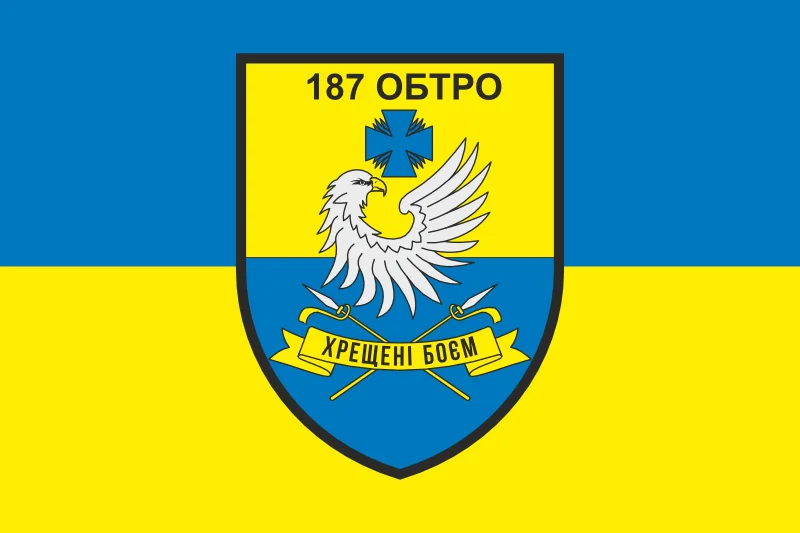 Флаг 187 ОБТрО (отдельный батальон Территориальной обороны) ВСУ. Вариант-05 Флаг 187 ОБТрО (отдельный батальон Территориальной обороны) ВСУ. Вариант-05