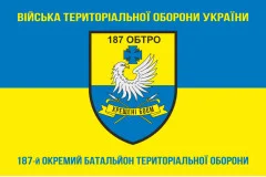 Флаг 187 ОБТрО (отдельный батальон Территориальной обороны) ВСУ. Вариант-06