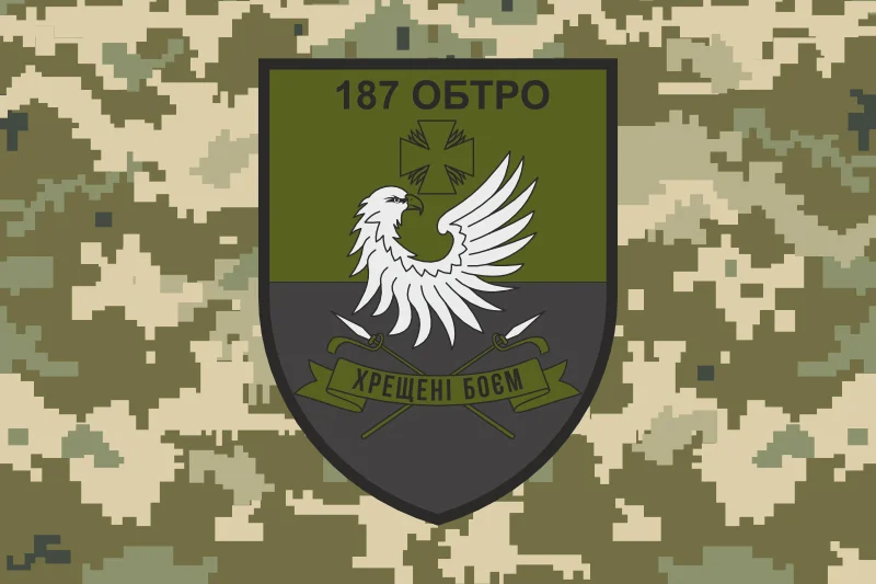 Флаг 187 ОБТрО (отдельный батальон Территориальной обороны) ВСУ. Вариант-09 Флаг 187 ОБТрО (отдельный батальон Территориальной обороны) ВСУ. Вариант-09