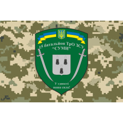 Флаг 15 БТрО (батальон территориальной обороны) ВСУ «Сумы». Вариант-08 Флаг 15 БТрО (батальон территориальной обороны) ВСУ «Сумы». Вариант-08