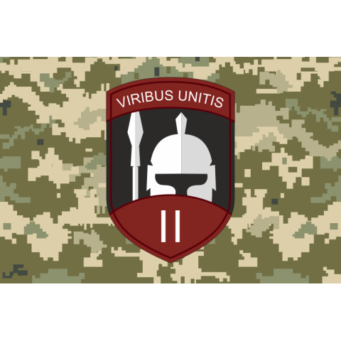 Флаг 2 батальона Интернационального легиона Украины. Вариант-06