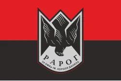 Прапор Роти ударних дронів «РАРОГ» 24 ОМБр ЗСУ. Варіант-03