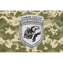 Прапор 2 окремої роти вогневої підтримки ДУК ПС. Варіант-05