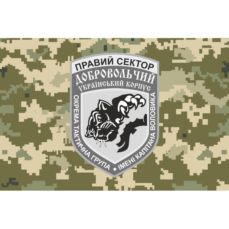 Прапор 2 окремої роти вогневої підтримки ДУК ПС. Варіант-05 Прапор 2 окремої роти вогневої підтримки ДУК ПС. Варіант-05