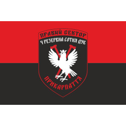 Прапор ДУК «Правий сектор» 4 резервна сотня «Прикарпаття». Варіант-01
