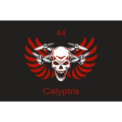 Флаг 44 ОМБр (отдельная механизированная бригада) ВСУ, Calyptra. Вариант-01 Флаг 44 ОМБр (отдельная механизированная бригада) ВСУ, Calyptra. Вариант-01