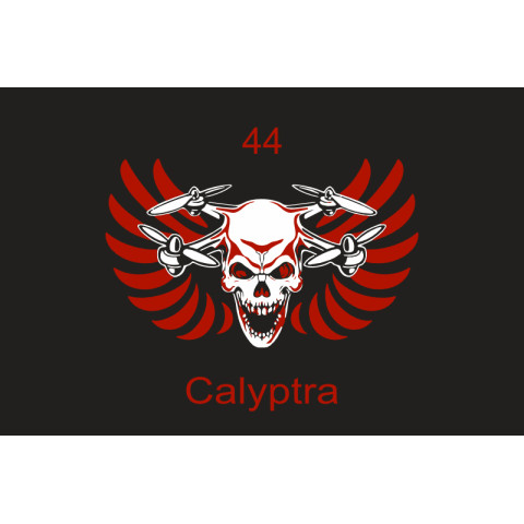 Прапор 44 ОМБр (окрема механізована бригада) ЗСУ, Calyptra. Варіант-01