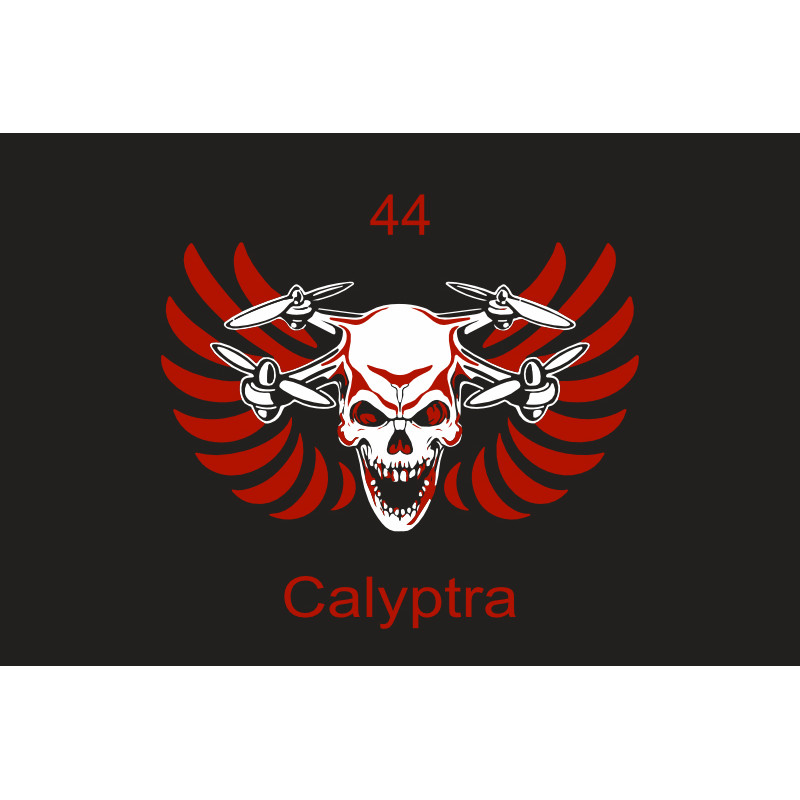 Флаг 44 ОМБр (отдельная механизированная бригада) ВСУ, Calyptra. Вариант-01 Флаг 44 ОМБр (отдельная механизированная бригада) ВСУ, Calyptra. Вариант-01