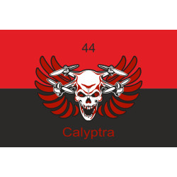 Флаг 44 ОМБр (отдельная механизированная бригада) ВСУ, Calyptra. Вариант-03 Флаг 44 ОМБр (отдельная механизированная бригада) ВСУ, Calyptra. Вариант-03