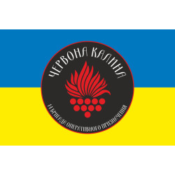 Флаг 14 БрОН (бригада оперативного назначения) НГУ. Вариант-01 Флаг 14 БрОН (бригада оперативного назначения) НГУ. Вариант-01