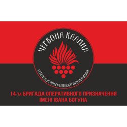 Флаг 14 БрОН (бригада оперативного назначения) НГУ. Вариант-04 Флаг 14 БрОН (бригада оперативного назначения) НГУ. Вариант-04