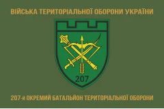 Флаг 207 ОБТрО (отдельный батальон Территориальной обороны) ВСУ. Вариант-02
