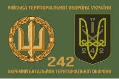 Флаг 242 ОБТрО (отдельный батальон Территориальной обороны) ВСУ. Вариант-03