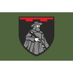 Флаг 65 ОБТрО (отдельный батальон Территориальной обороны) ВСУ. Вариант-05