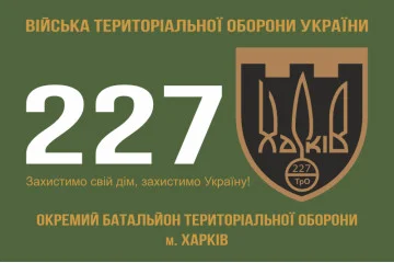 Прапор 227 ОБТрО (окремий батальйон Територіальної оборони) ЗСУ. Варіант-06