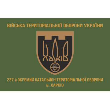 Флаг 227 ОБТрО (отдельный батальон Территориальной обороны) ВСУ. Вариант-07