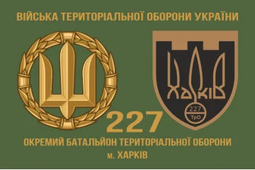 Прапор 227 ОБТрО (окремий батальйон Територіальної оборони) ЗСУ. Варіант-08