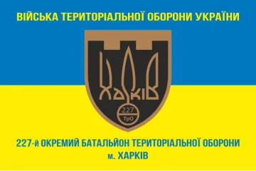 Прапор 227 ОБТрО (окремий батальйон Територіальної оборони) ЗСУ. Варіант-09