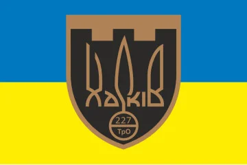 Прапор 227 ОБТрО (окремий батальйон Територіальної оборони) ЗСУ. Варіант-11