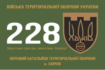 Прапор 228 ОБТрО (окремий батальйон Територіальної оборони) ЗСУ. Варіант-01
