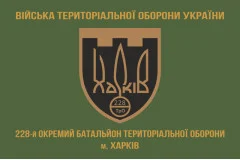 Флаг 228 ОБТрО (отдельный батальон Территориальной обороны) ВСУ. Вариант-02