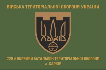 Прапор 228 ОБТрО (окремий батальйон Територіальної оборони) ЗСУ. Варіант-02