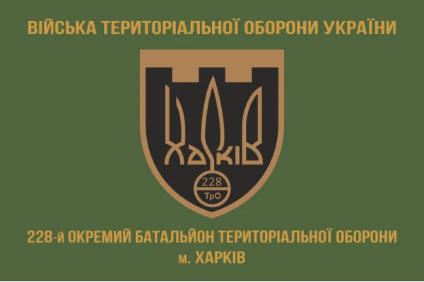 Флаг 228 ОБТрО (отдельный батальон Территориальной обороны) ВСУ. Вариант-02