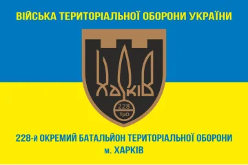 Прапор 228 ОБТрО (окремий батальйон Територіальної оборони) ЗСУ. Варіант-04