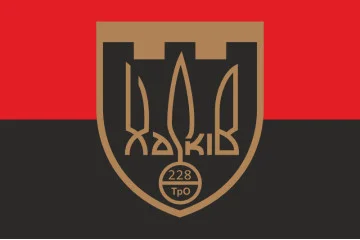 Прапор 228 ОБТрО (окремий батальйон Територіальної оборони) ЗСУ. Варіант-07