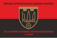 Флаг 228 ОБТрО (отдельный батальон Территориальной обороны) ВСУ. Вариант-08