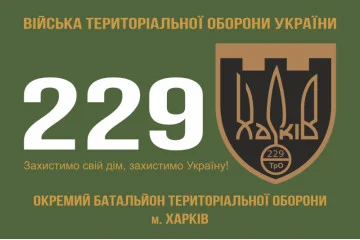 Прапор 229 ОБТрО (окремий батальйон Територіальної оборони) ЗСУ. Варіант-01