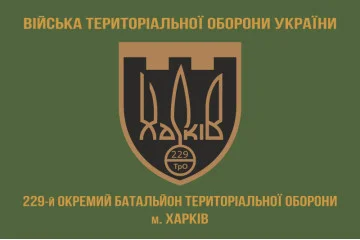 Прапор 229 ОБТрО (окремий батальйон Територіальної оборони) ЗСУ. Варіант-02