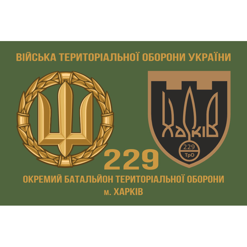 Флаг 229 ОБТрО (отдельный батальон Территориальной обороны) ВСУ. Вариант-03 Флаг 229 ОБТрО (отдельный батальон Территориальной обороны) ВСУ. Вариант-03