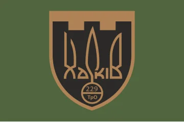 Прапор 229 ОБТрО (окремий батальйон Територіальної оборони) ЗСУ. Варіант-05