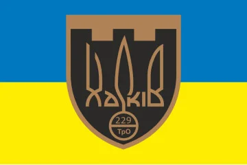 Прапор 229 ОБТрО (окремий батальйон Територіальної оборони) ЗСУ. Варіант-06