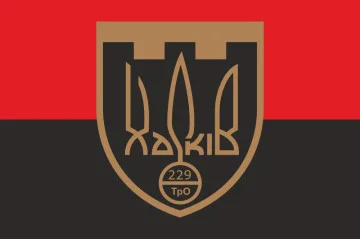 Прапор 229 ОБТрО (окремий батальйон Територіальної оборони) ЗСУ. Варіант-07