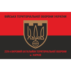 Прапор 229 ОБТрО (окремий батальйон Територіальної оборони) ЗСУ. Варіант-08 Прапор 229 ОБТрО (окремий батальйон Територіальної оборони) ЗСУ. Варіант-08