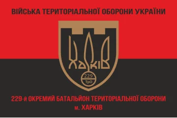 Прапор 229 ОБТрО (окремий батальйон Територіальної оборони) ЗСУ. Варіант-08