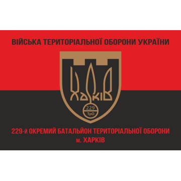 Флаг 229 ОБТрО (отдельный батальон Территориальной обороны) ВСУ. Вариант-08 Флаг 229 ОБТрО (отдельный батальон Территориальной обороны) ВСУ. Вариант-08